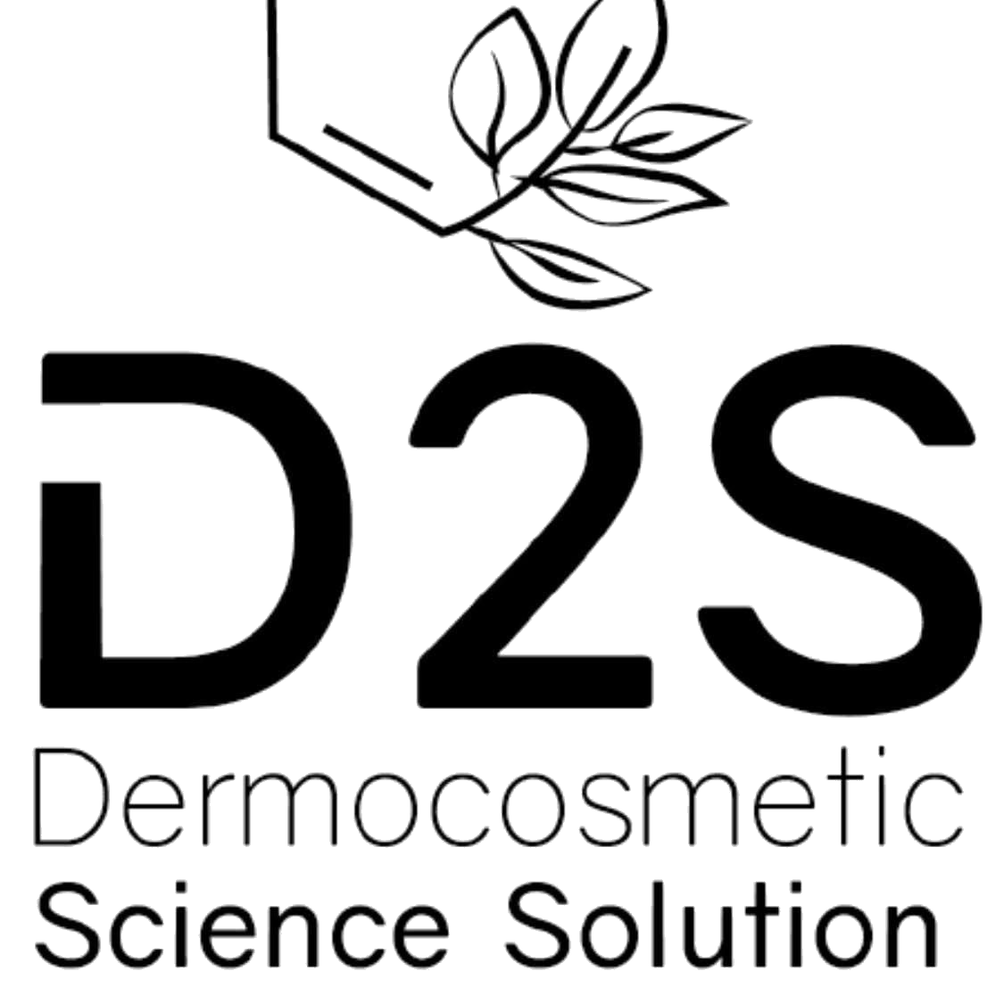 D2S